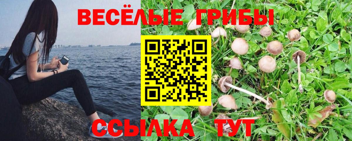 Галлюциногенные грибы Magic Shrooms  Вход с VPN  Майкоп  Галлюциногенные грибы MAGIC MUSHROOMS 